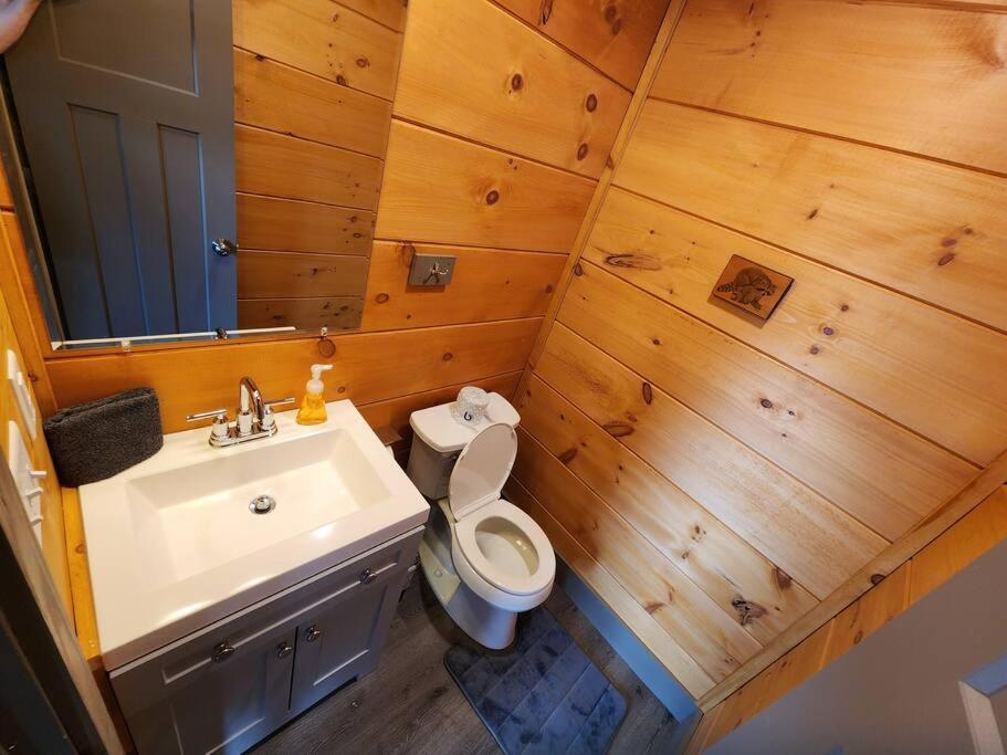 Dancing Bear Cabin- Relax & Enjoy! Sevierville Dış mekan fotoğraf