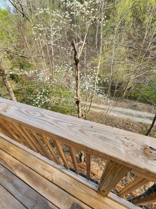 Dancing Bear Cabin- Relax & Enjoy! Sevierville Dış mekan fotoğraf